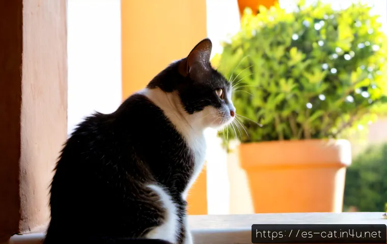 고양이 언어 이해하기 - Photorealistic close-up of a relaxed domestic short-haired cat communicating with its owner through ...